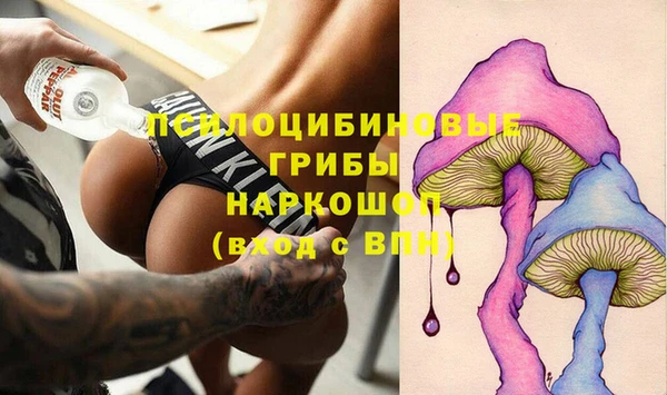 гашик Алзамай